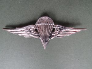 Egypt 4th Class Parachute Wings