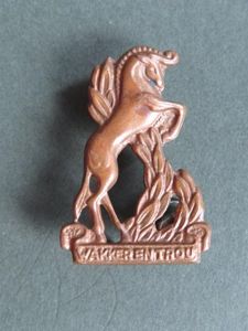 South Africa Army Regiment Bloemspruit Collar Badge