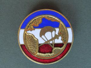 France Army Battalion De Choc Pocket Crest