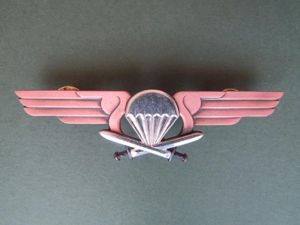 Finland 3rd Class Parachute Wings