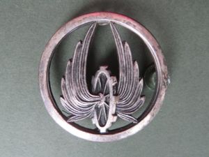 France Army 'Transport Units' Beret Badge