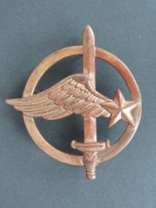France Air Force 'Commandos de L'Air' Beret Badge