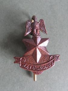Nigeria Army Officer's Collar Badge