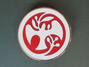 Multi-national Force & Observers Pocket Crest