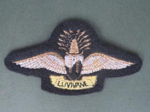 Kingdom of Swaziland Parachute Instructor Wings