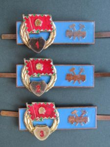 Hungary Pre 1991 Army Vehicle Mechanic Badges 1st, 2nd & …
