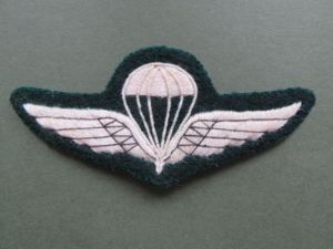 Norway Army Parachute Wings