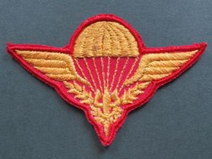 Laos Basic Parachute Wings