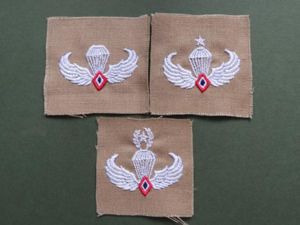 Philippines Air Force Para-Rescue Parachute Wings Basic, Senior & Master …