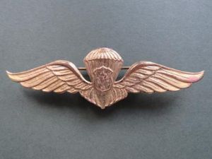 Indonesia National Police Basic Parachute Wings