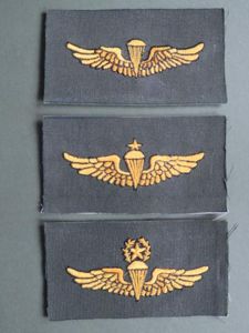 Indonesia Army Parachute Wings Set