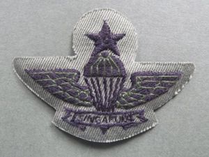 Singapore Senior Parachute Wings