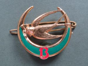 France 13° Régiment de Tirailleurs Algériens Pocket Crest