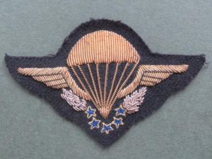 France H.A.L.O. Dress Uniform Parachute Wings
