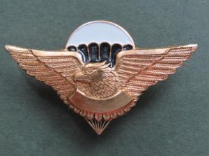 Russian Federation 'Airborne Forces / Spetsnaz' Crest