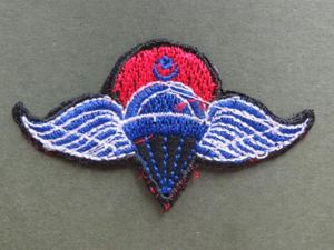 Turkey Army Parachute Rigger Wings