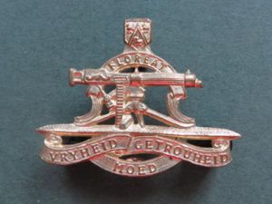 South Africa Regiment President Steyn Collar Badge