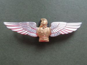 France Air Force 15 GENIE (Engineer) Regiment Pock Crest