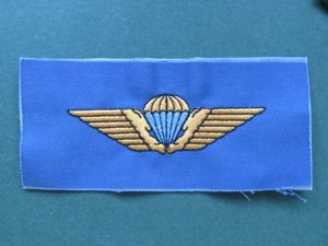 Denmark Air Force Parachute Wings