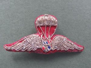 Thailand National Border Patrol Police Basic Parachute Wings
