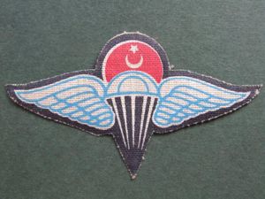 Turkey Parachute Rigger Wings