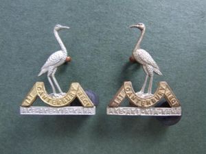 New Zealand Army 1st (Canterbury) Regiment Collar Badges