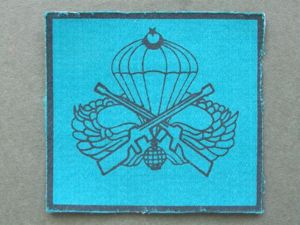 Turkey Army Parachute Wings