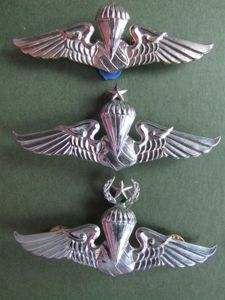 Thailand National Border Police Parachute Wings Set