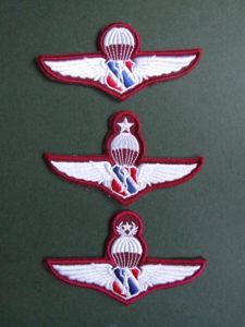 Thailand Border Patrol Police Basic Parachute Wings Set