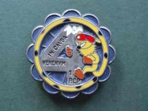 France 4 Company 1 R.C.P. (Regiment Chasseurs Parachutistes) Pocket Crest