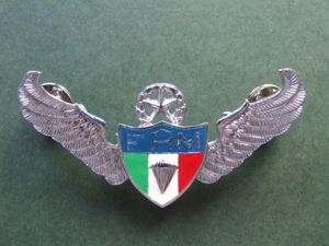 Mexico Army Enlisted Master Parachute Wings