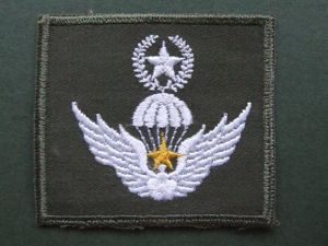 Republic of Korea Army Freefall Parachute Wings 100 Jumps
