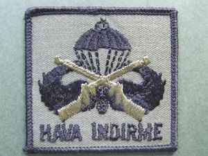 Turkey Army 'Air Landing' Parachute Badge