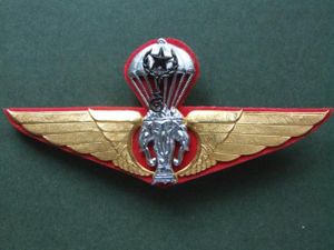 Thailand Army Master Parachute Wings