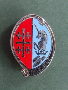 France 1er R.H.P. (Regiment de Hussars Parachutistes) Pocket Crest