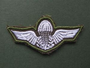 Brazil Army Parachute Wings