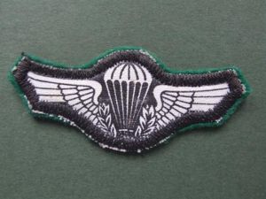 Brazil Army Special Forces Parachute Wings