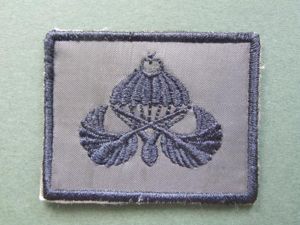 Turkey Army Parachute Wings