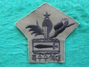 Republic of Korea Marine Corps Senior Parachute / Ranger / …