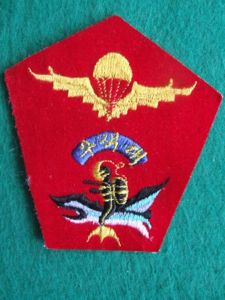 Republic of Korea Marine Corps Basic Parachute / White Knights …