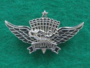 Singapore Basic Freefall Parachute Wings