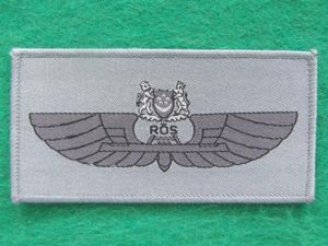 Singapore Air Force U.A.V. (Unmanned Aerial Vehicle) Pilots Wings