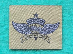 Singapore Army Basic Freefall Parachute Wings