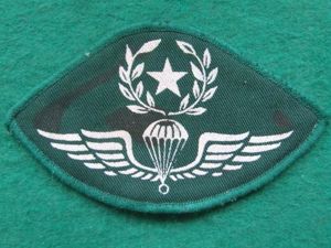 Greece Master Parachute Wings