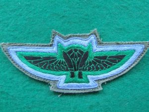 Nepal Obsolete Para-Pilot Parachute Wings