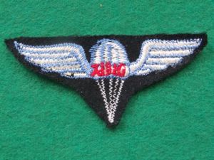 Republic of Korea Parachute Rigger Wings