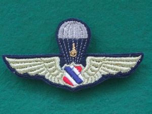Thailand Air Force Basic Parachute Dress Wings