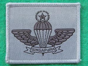 Singapore Air Force Master Parachute Wings