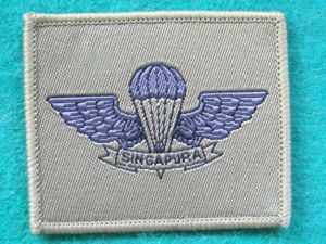 Singapore Army Basic Parachute Wings