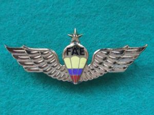 Ecuador Air Force Parachute Instructor Wings
